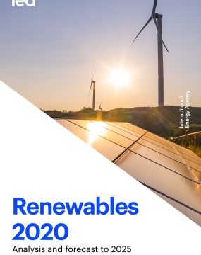 Renewables 2020 - Analysis and Forecast to 2025
